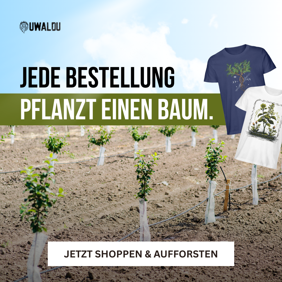 Meta-Ads-Creative Beispiel 2 aus der Praxis